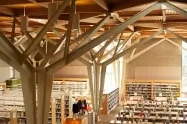 library_4_by_jenny_swanson.jpg