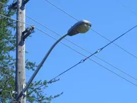 Streetlight in its natural habitat